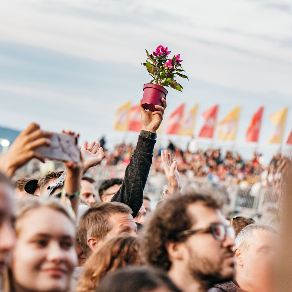 About us Pohoda Festival